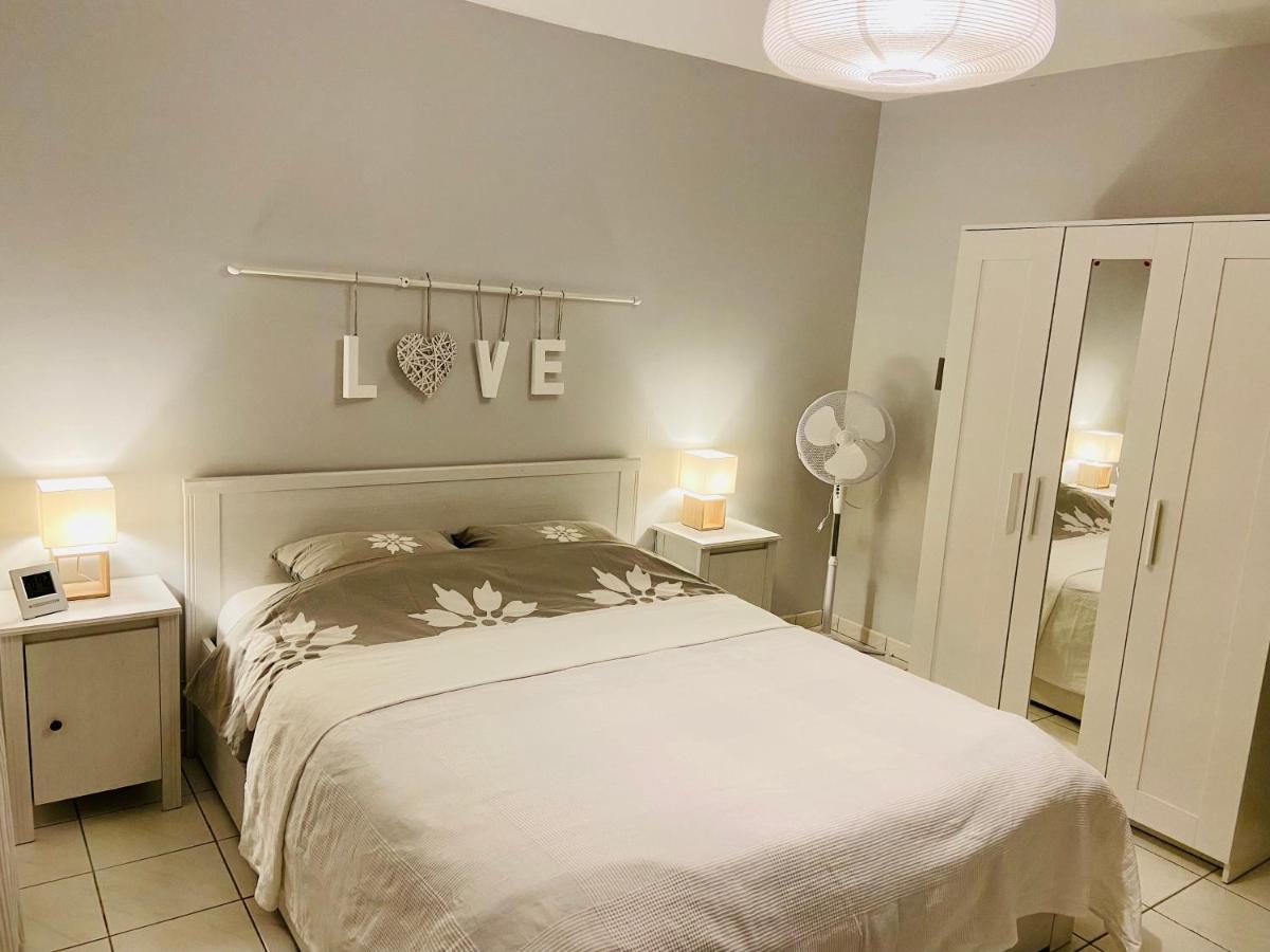 Sweet Home - 55M2 Appartment, Garden, Swimming Pool, Parking Toulouse Buitenkant foto