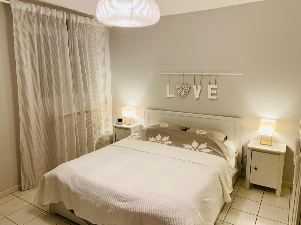 Sweet Home - 55M2 Appartment, Garden, Swimming Pool, Parking Toulouse Buitenkant foto