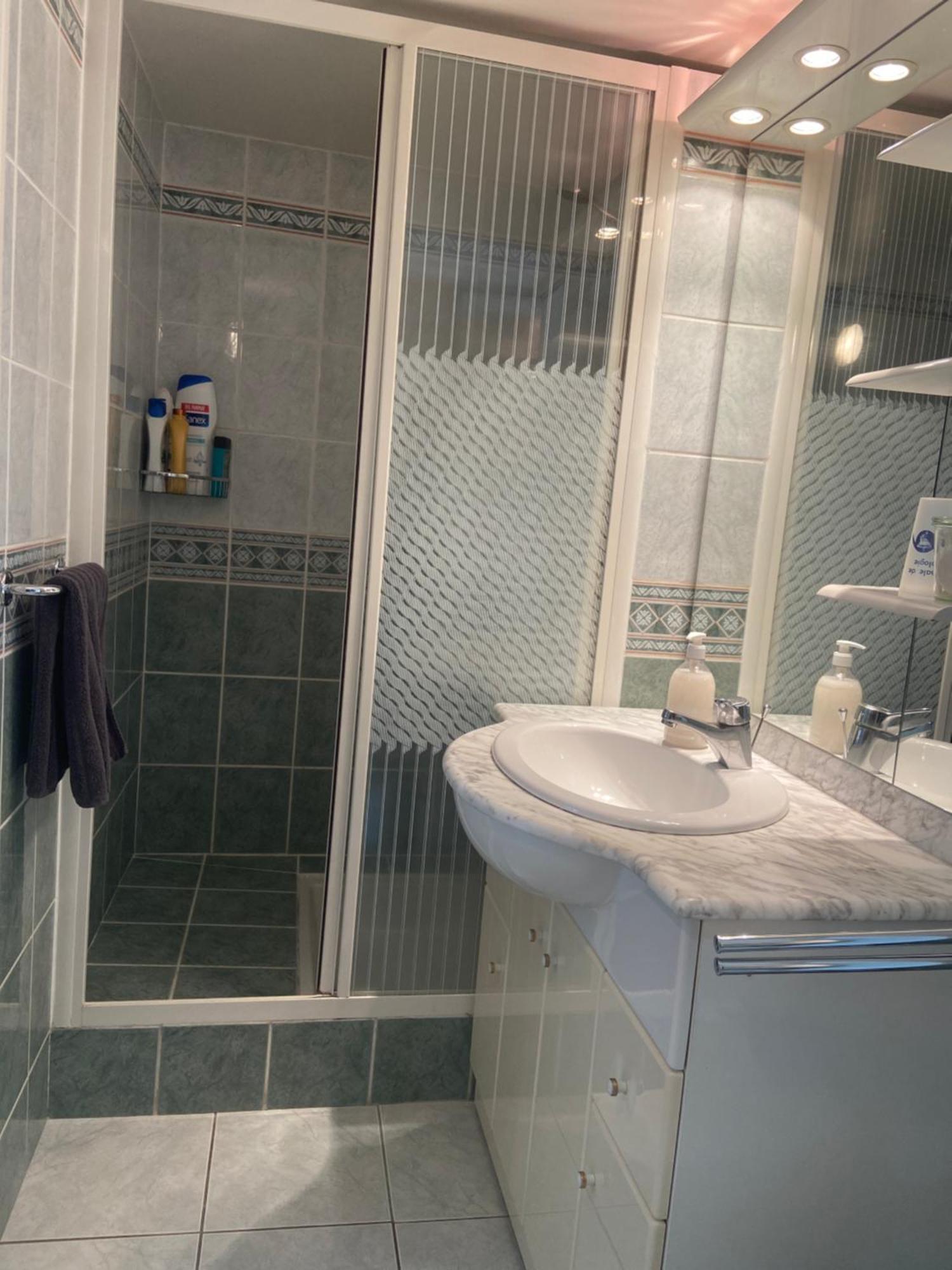 Sweet Home - 55M2 Appartment, Garden, Swimming Pool, Parking Toulouse Buitenkant foto