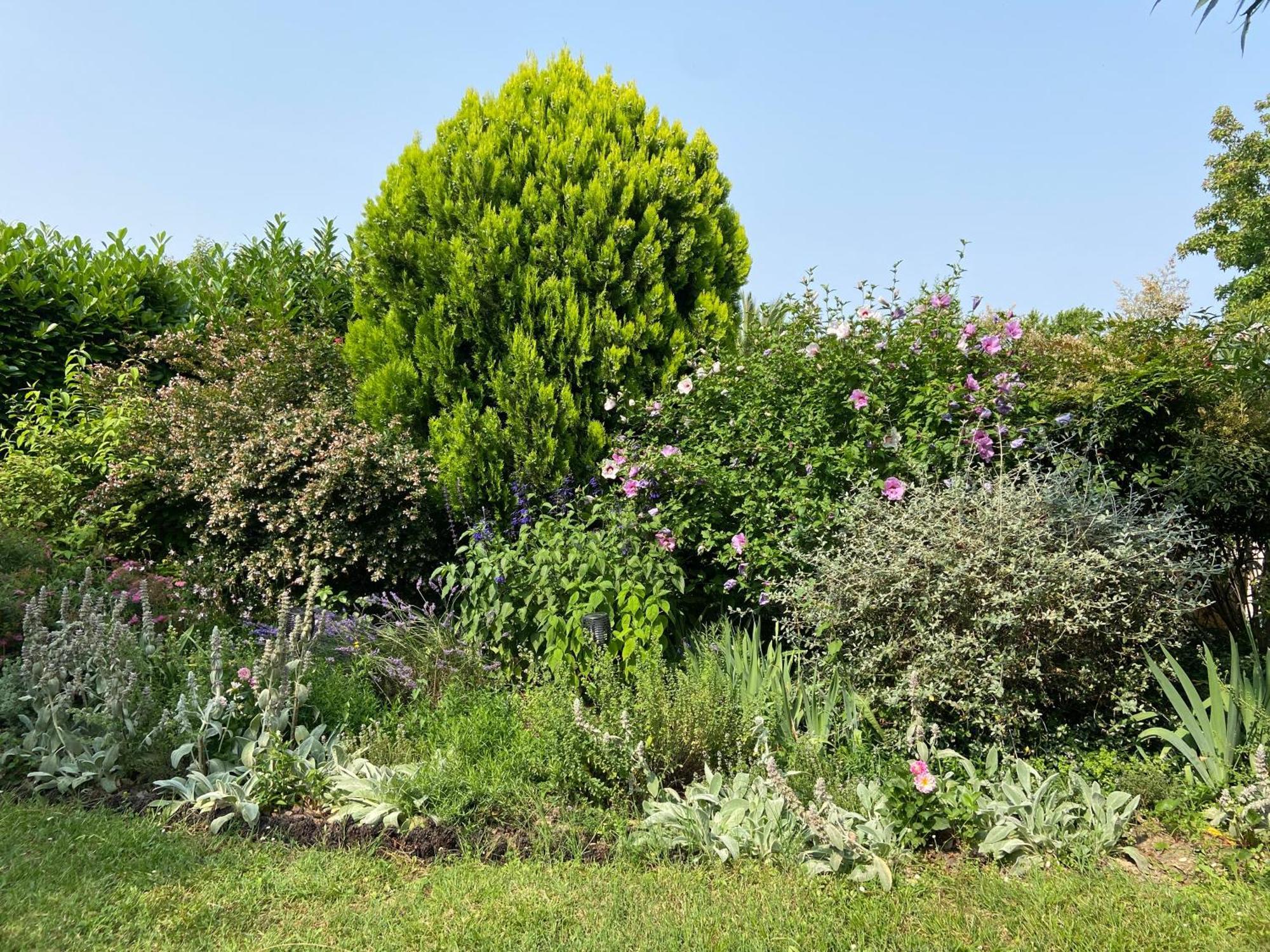 Sweet Home - 55M2 Appartment, Garden, Swimming Pool, Parking Toulouse Buitenkant foto